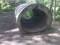 Brookfield gardens_silver spring3